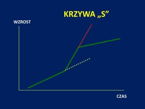 prezentacja szachowa J.Przewoźnik Piękny_Umysł_Szczecin_2014_01_39